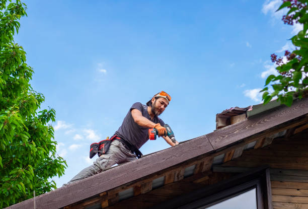 Best Emergency Roof Repair Services  in Urbana, OH